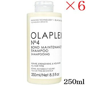 �I���v���b�N�X No.4 �{���h�����e�i���X �V�����v�[ 250ml ×6�Z�b�g