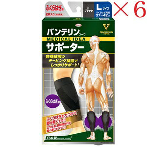 aV oeR[ T|[^[ ӂ͂AVXg傫߃TCY ubN ×6Zbg