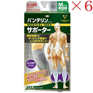 ���a�V�� �o���e�����R�[�� �T�|�[�^�[ �ӂ���͂��A�V�X�g�ӂ��T�C�Y �V���o�[�O���[ ×6�Z�b�g