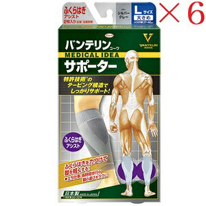 aV oeR[ T|[^[ ӂ͂AVXg傫߃TCY Vo[O[ ×6Zbg