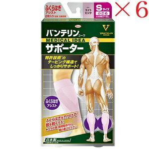 aV oeR[ T|[^[ ӂ͂AVXg߃TCY CgsN ×6Zbg