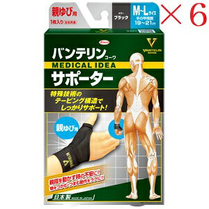 aV oeR[ T|[^[ eѐpӂ`傫߃TCY ubN ×6Zbg