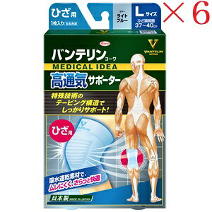 ���a�V�� �o���e�����R�[�� ���ʋC�T�|�[�^�[ �Ђ���p�傫�߃T�C�Y ���C�g�u���[ ×6�Z�b�g