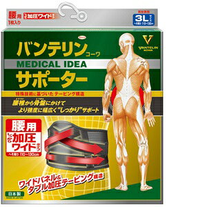 aV oeR[ T|[^[ pŒ^Cv 3L ubN