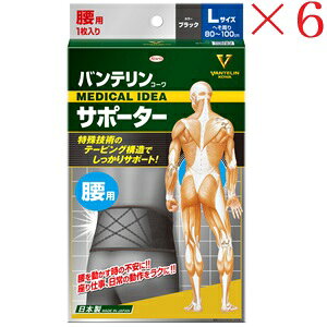 aV oeR[ T|[^[ jp傫߃TCY ubN ×6Zbg