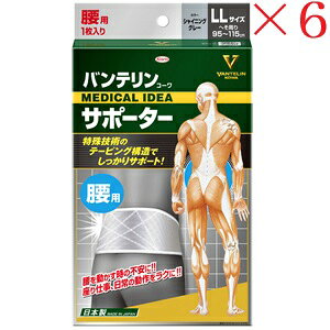 aV oeR[ T|[^[ p傫߃TCY VCjOO[ ×6Zbg