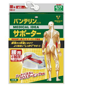 aV oeR[ T|[^[ pŒ^Cv ӂTCY u[O[