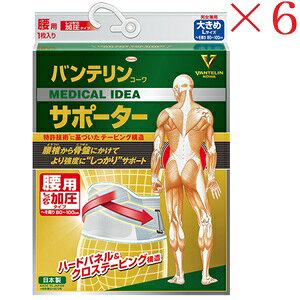 aV oeR[ T|[^[ pŒ^Cv 傫߃TCY u[O[ ×6Zbg