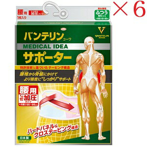 aV oeR[ T|[^[ pŒ^Cv ӂTCY pXesN ×6Zbg