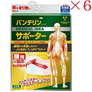 aV oeR[ T|[^[ pŒ^Cv 傫߃TCY pXesN ×6Zbg