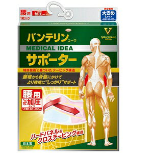 aV oeR[ T|[^[ pŒ^Cv 傫߃TCY pXesN