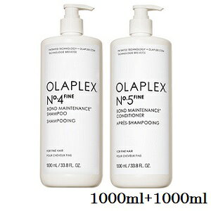 �I���v���b�N�X No.4�t�@�C�� �{���h�����e�i���X�V�����v�[ 1000ml + �R���f�B�V���i�[ 1000ml