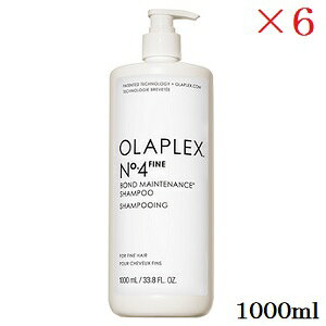 �I���v���b�N�X No.4�t�@�C�� �{���h�����e�i���X�V�����v�[ 1000ml ×6�Z�b�g