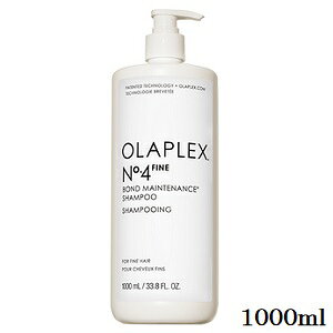�I���v���b�N�X No.4�t�@�C�� �{���h�����e�i���X�V�����v�[ 1000ml