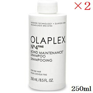 �I���v���b�N�X No.4�t�@�C�� �{���h�����e�i���X�V�����v�[ 250ml ×2�Z�b�g