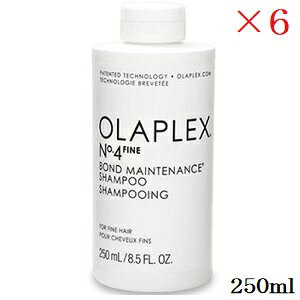 �I���v���b�N�X No.4�t�@�C�� �{���h�����e�i���X�V�����v�[ 250ml ×6�Z�b�g