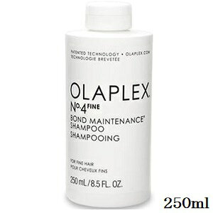 �I���v���b�N�X No.4�t�@�C�� �{���h�����e�i���X�V�����v�[ 250ml