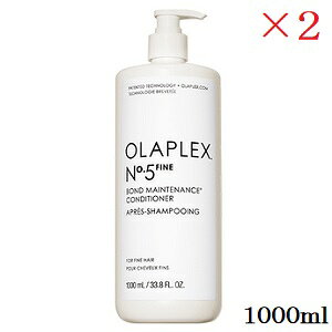 �I���v���b�N�X No.5�t�@�C�� �{���h�����e�i���X�R���f�B�V���i�[ 1000ml ×2�Z�b�g