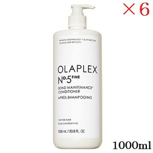 �I���v���b�N�X No.5�t�@�C�� �{���h�����e�i���X�R���f�B�V���i�[ 1000ml ×6�Z�b�g