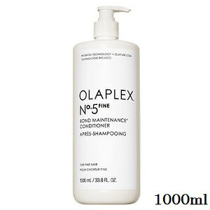 �I���v���b�N�X No.5�t�@�C�� �{���h�����e�i���X�R���f�B�V���i�[ 1000ml
