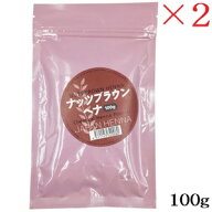 ジャパンヘナ 人工染料混合ヘナ 100g C-2 ナッツブラウン ×2セット