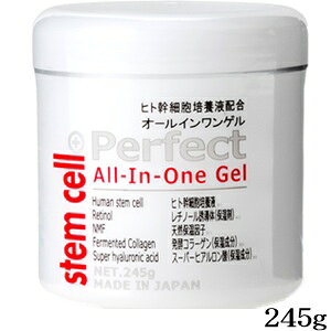 �X�e���Z�� �Q�� 245g