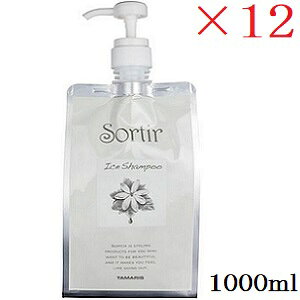 ^}X \eB[ ACX Vv[ tH_[t 1000ml ×12Zbg