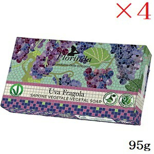 t_ tOX\[v 95g UCN O[v ×4Zbg