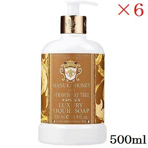 tBIeB[m Lbh\[v 500ml }kJnj[Xgx[c[ ×6Zbg