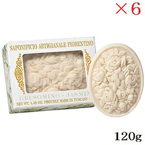 tBIeB[m J[rO\[v 120g WX~ ×6Zbg