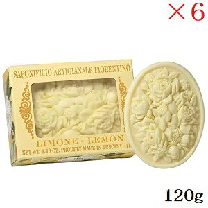 tBIeB[m J[rO\[v 120g  ×6Zbg