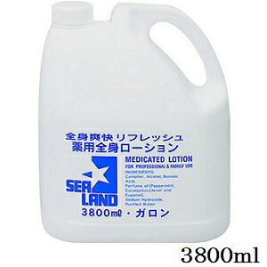 V[h pSg[V 3800ml (򕔊Oi)
