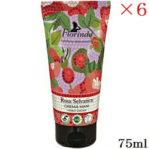 t_ UCN nhN[ 75ml Ch[Y ×6Zbg