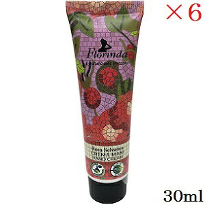 �t�������_ ���U�C�N �n���h�N���[�� 30ml ���C���h���[�Y ×6�Z�b�g