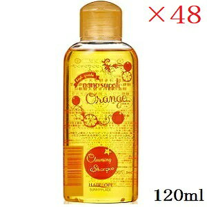 Tj[vCX nCO[himTv NWO Vv[ 120ml IW ×48Zbg