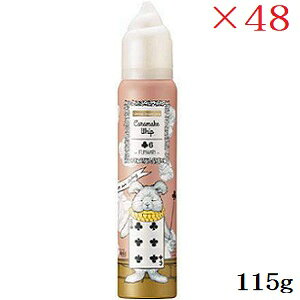 f~ EF[{ WJ[ LCN zCbv 6 115g ×48Zbg
