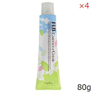 iv HB PAeNgJ[ OCt@bV 80g C-9MB ×4Zbg (򕔊Oi)