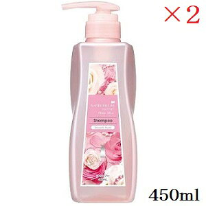 TC E[} zCg[Y Vv[ X[XCXg 450ml ×2Zbg