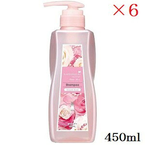 TC E[} zCg[Y Vv[ X[XCXg 450ml ×6Zbg