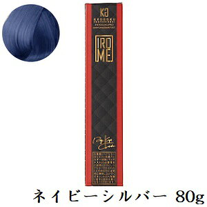 KYOGOKU IROME 80g �V���o�[�R���N�V���� �l�C�r�[�V���o�[ (��򕔊O�i)