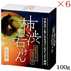 WHY W`az΂ 100g ×6Zbg