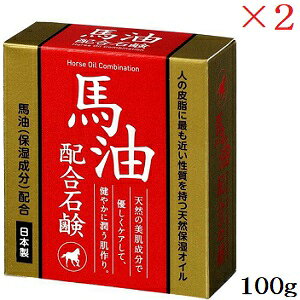 WHY Wnz΂ 100g ×2Zbg