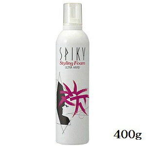 C XpCL[ X^COtH[ Egn[h 400g