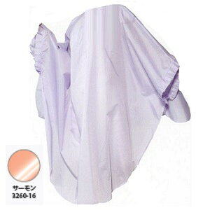 RE rbObvR[g No.3260 T[