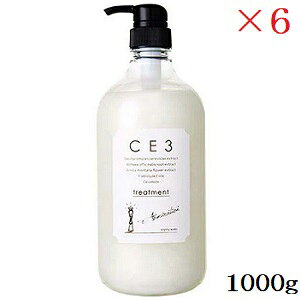 ~A CE3 g[gg 1000g ×6Zbg