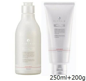 f~ t[fBA Vv[ X[NCXg 250ml + g[gg X[NCXg 200g