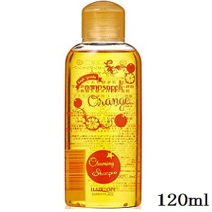 Tj[vCX nCO[himTv NWO Vv[ 120ml IW