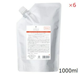 f~ t[fBA Vv[ X[NCXg 1000ml tB l֗p×6Zbg