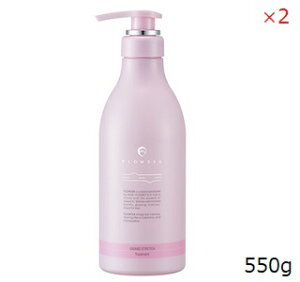 f~ t[fBA g[gg OXgb` 550g ×2Zbg