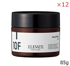 f~ Gx[g n[hbNX 10F 85g ×12Zbg